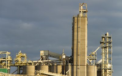 ADM Accused in Trial of Directing Grain Sales Ponzi Scheme