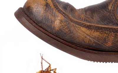 Squelching ‘Cockroach’ Brokers