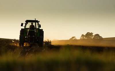 Yet Another Classic Ponzi Scheme